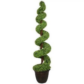 Arborele topiar spiral Bonsai